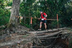 BIB: 
                            <button type="button" onclick="openModal(27756327)" class="btn btn-primary btn-sm float-right btn-popup" data-toggle="modal" data-target=".modal-high-quality">
                        <i class="fas fa-shopping-cart"></i> Add to Cart
                    </button>
                                            <button type="button" onclick="isThisMe(27756327, true)" class="btn btn-success btn-sm float-right btn-popup btn-isme hidden" data-toggle="tooltip" data-placement="bottom" title="นี่คือรูปของคุณใช่ไหม คลิกที่นี่เพื่อเอาเข้าอัลบั้ม">
                        <i class="fas fa-plus"></i> Add to album
                    </button>
                    <button type="button" onclick="isThisMe(27756327, false)" class="btn btn-warning btn-sm float-right btn-popup btn-isnotme hidden">
                        <i class="fas fa-ban"></i> Remove from album
                    </button>